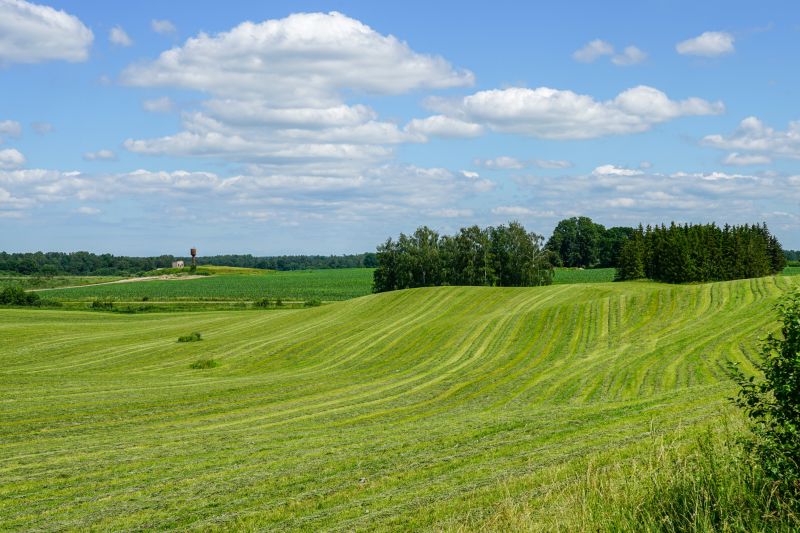 Pasture Mowing Costs — Cost of Pasture Mowing