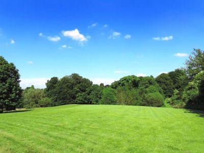 Improve Pasture Health